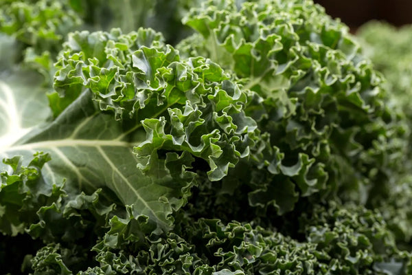 Ingredient image